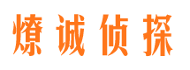 任县调查公司